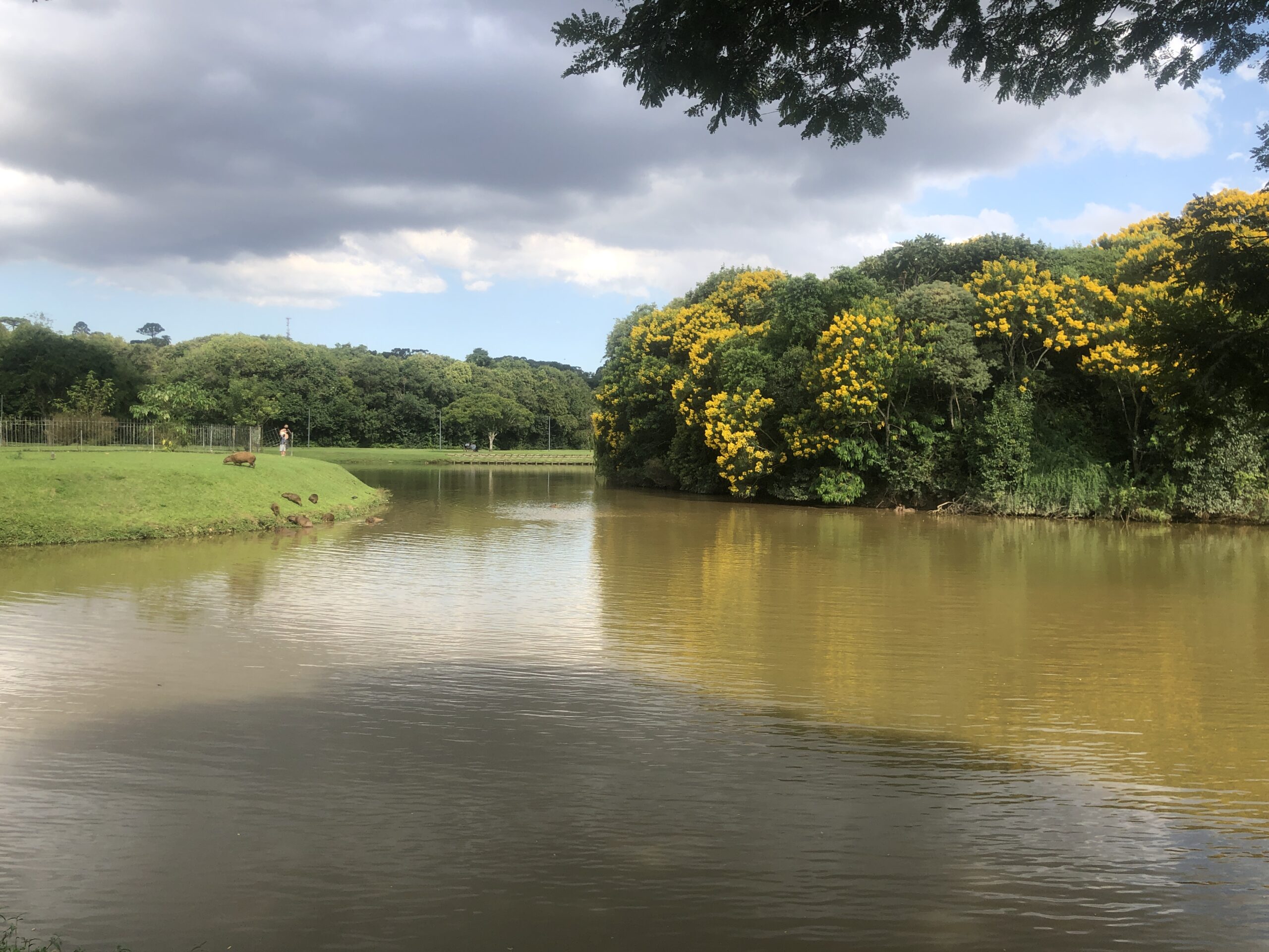 Lago no parque Tingui