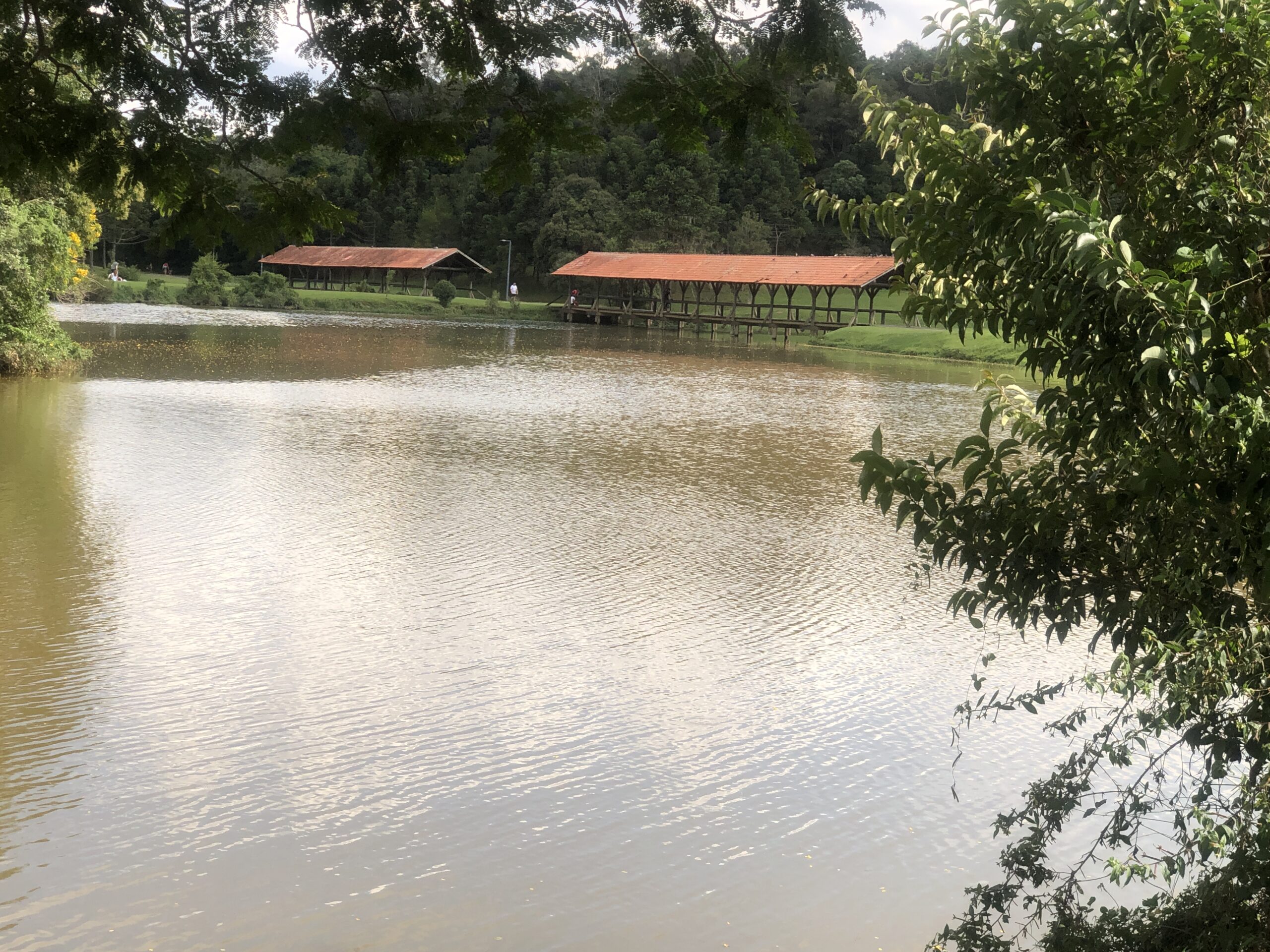 Lago no parque Tingui